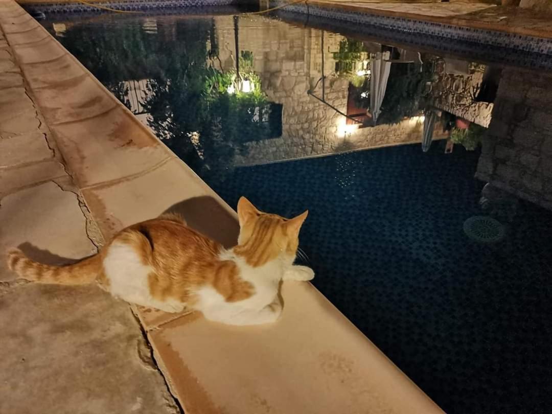Aliki'S House 1+ 2 Guest House Polis ภายนอก รูปภาพ