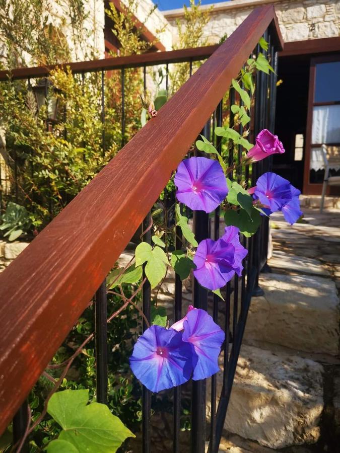 Aliki'S House 1+ 2 Guest House Polis ภายนอก รูปภาพ