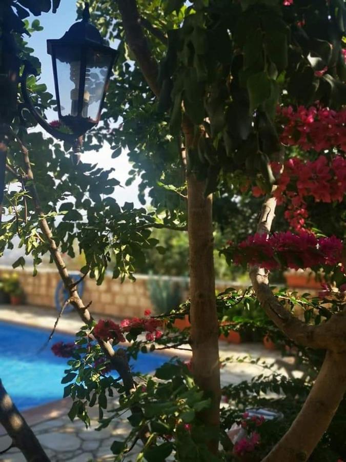 Aliki'S House 1+ 2 Guest House Polis ภายนอก รูปภาพ